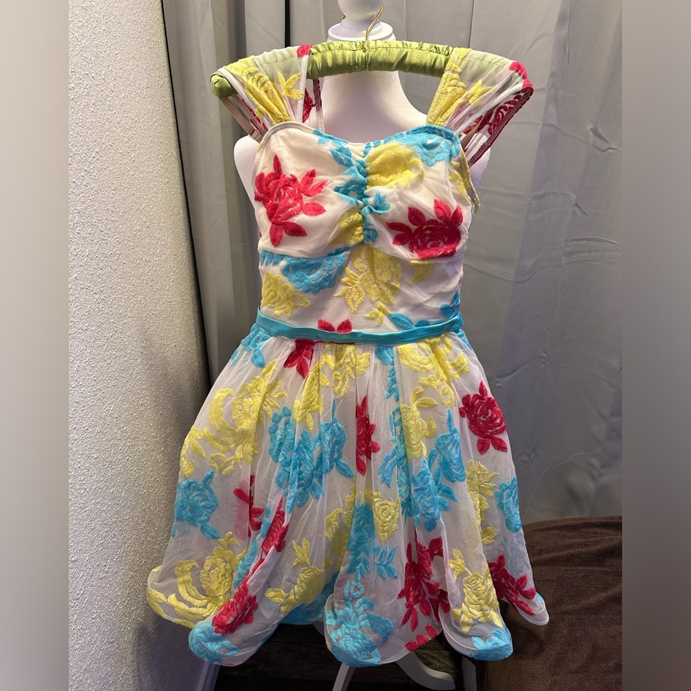 COPY - Dress Dance Costume with Roses and Fanned Straps Size Adult Small